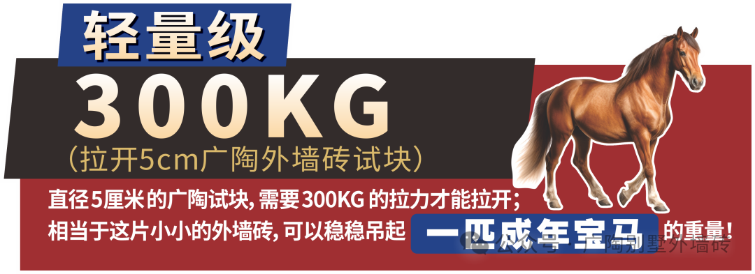 6a41f4c09e7f2.png 6a41f4c09e7f2.png